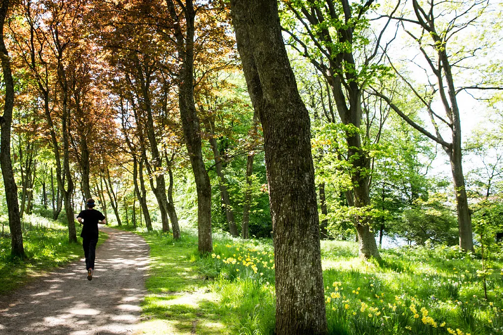 Vallarnas Motionsspår