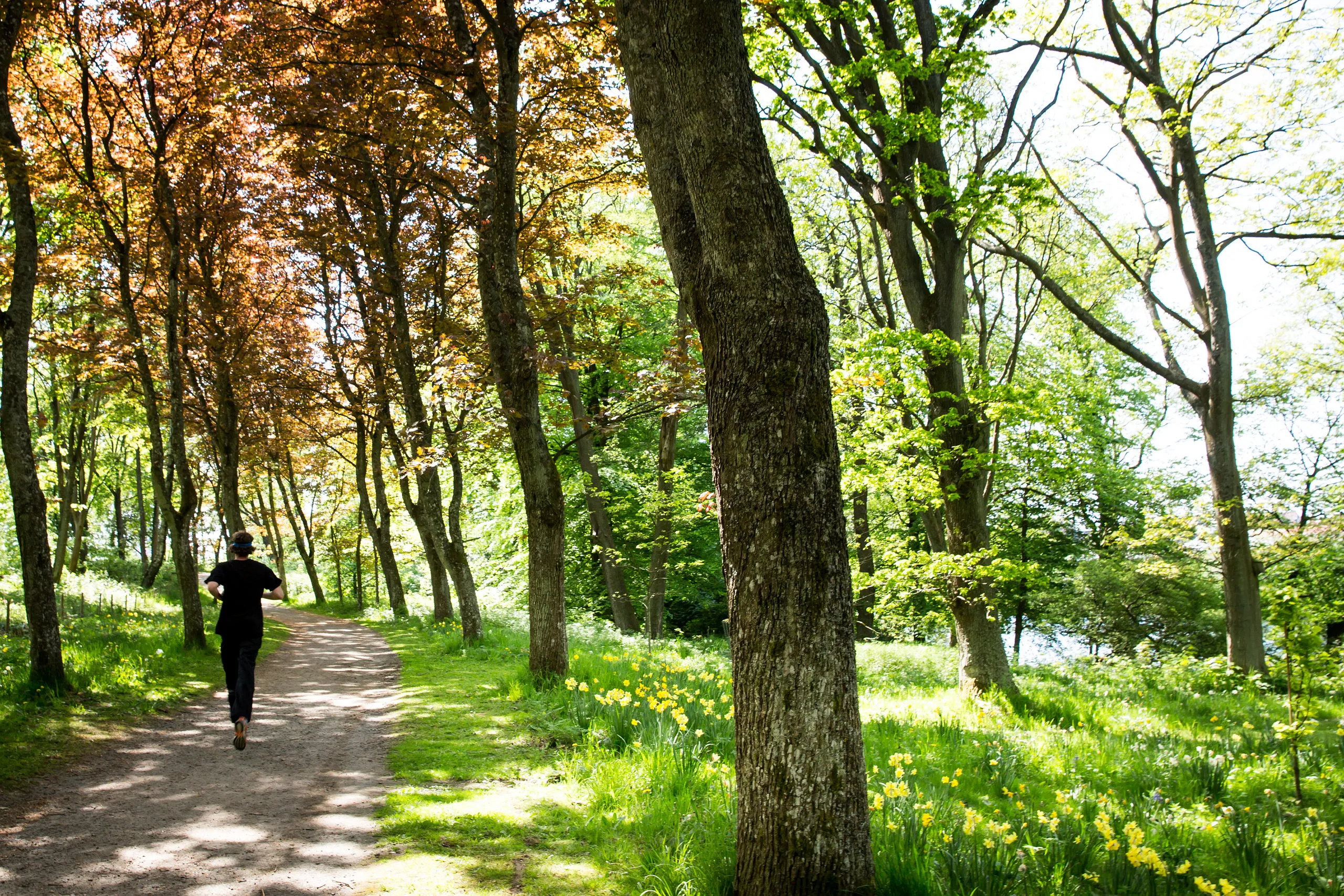 Kille som motionerar på Vallarna