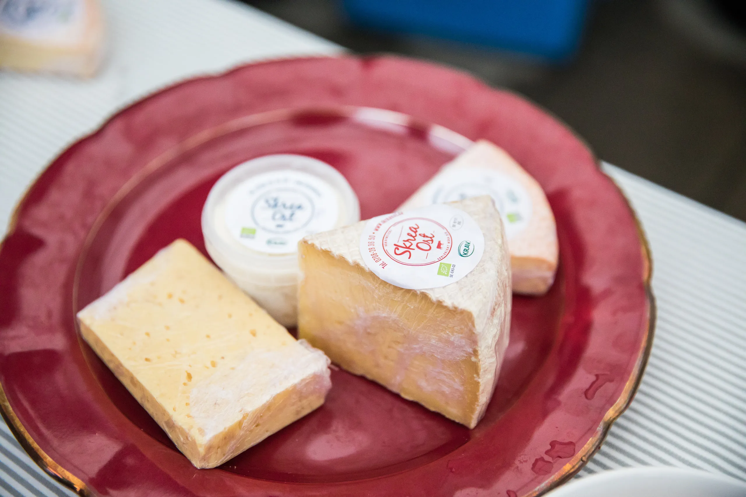 En tallrik med fyra olika ostar.