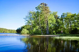 Badbrygga och liten strand med fin natur bakom