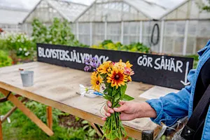 En skylt om självplock och en hand som håller upp en blombukett.