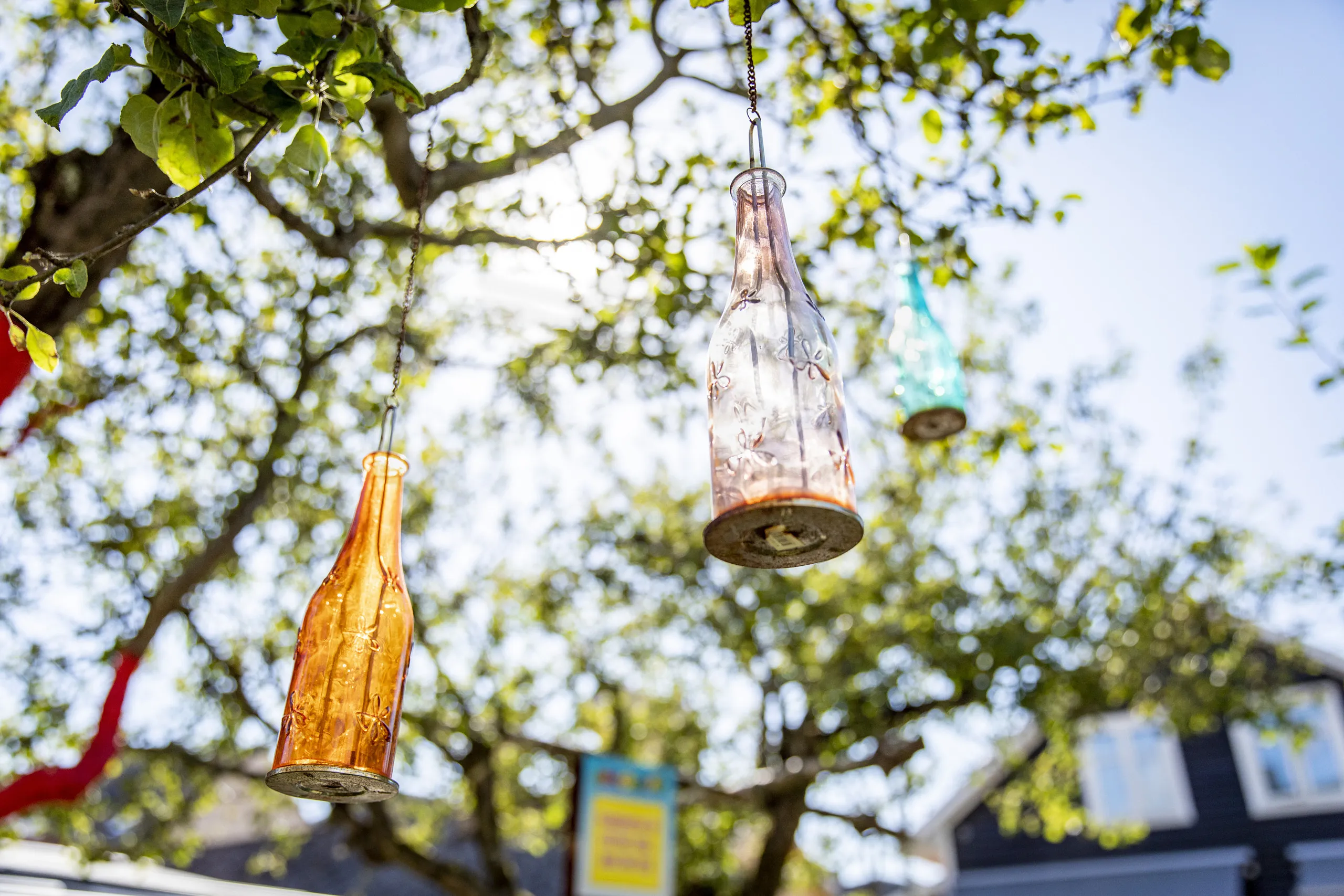 Färgade glasflaskor som hänger i träd.