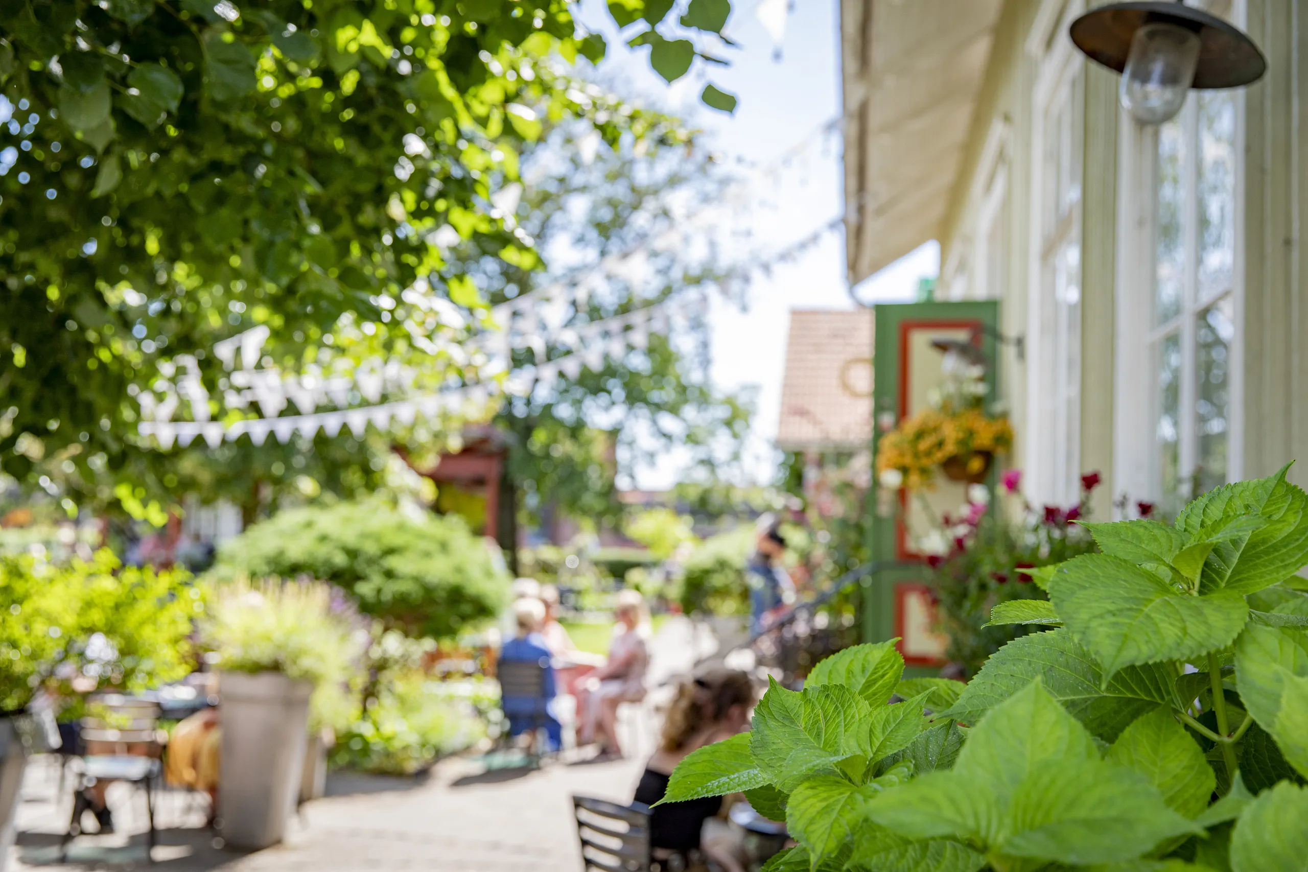 Trädgårdservering.