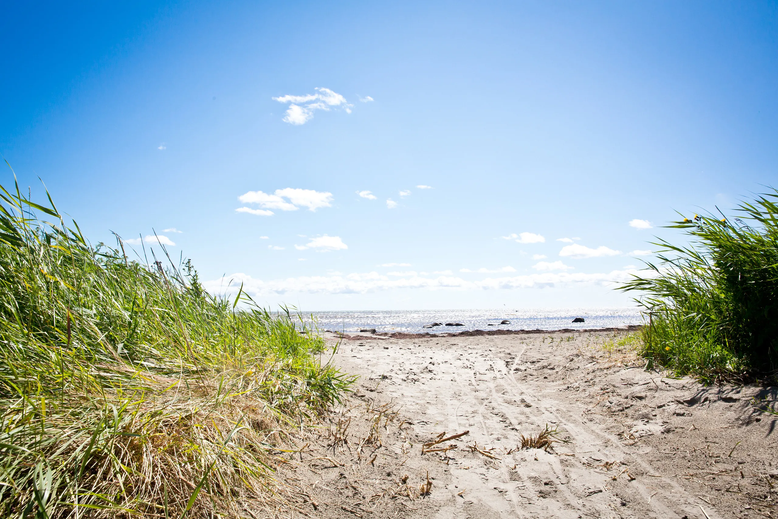Utsikt över Stafsinge strand