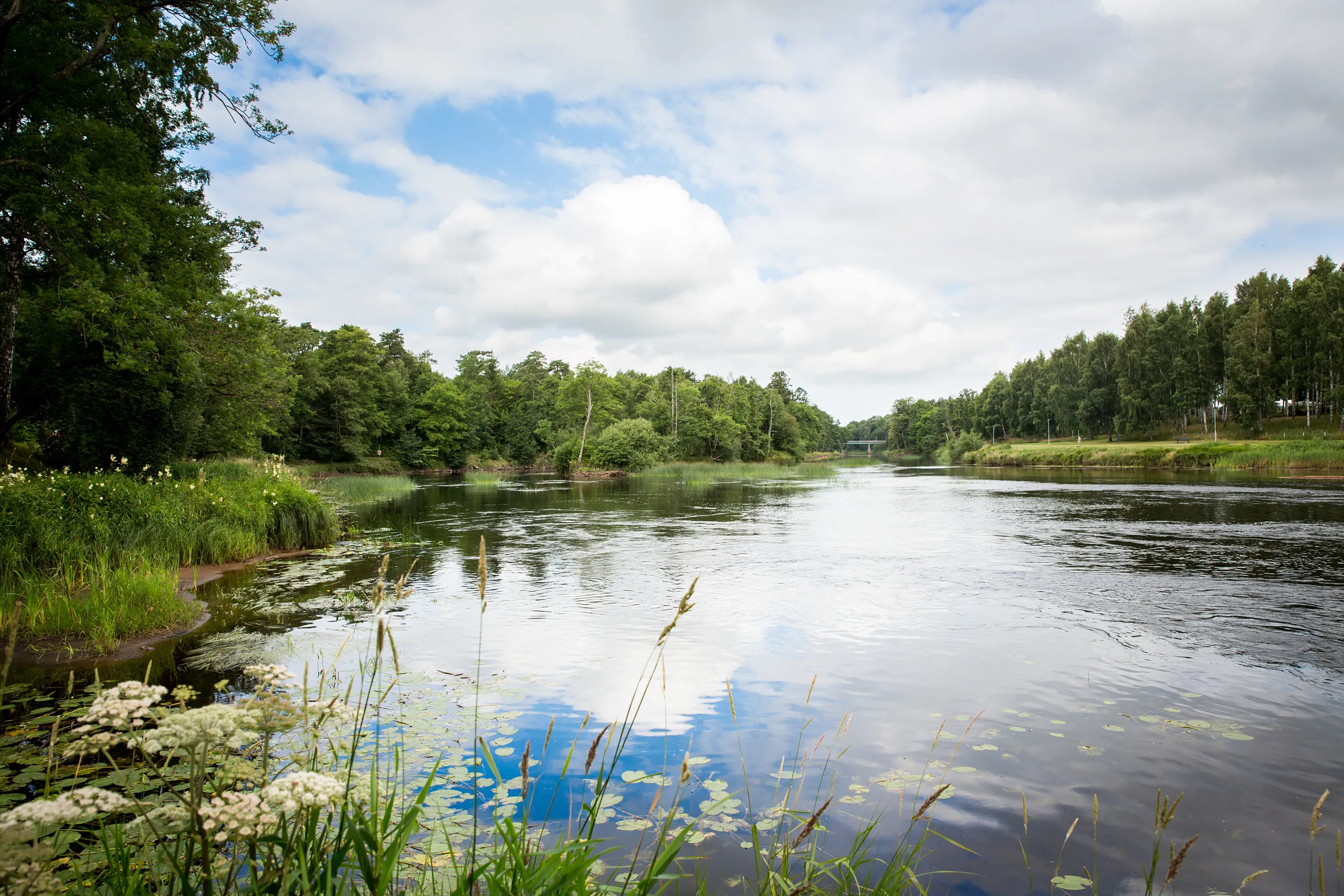 Ätrans å med träd längs sidorna