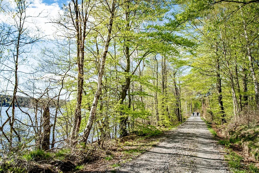 Round trip- Björkasjö