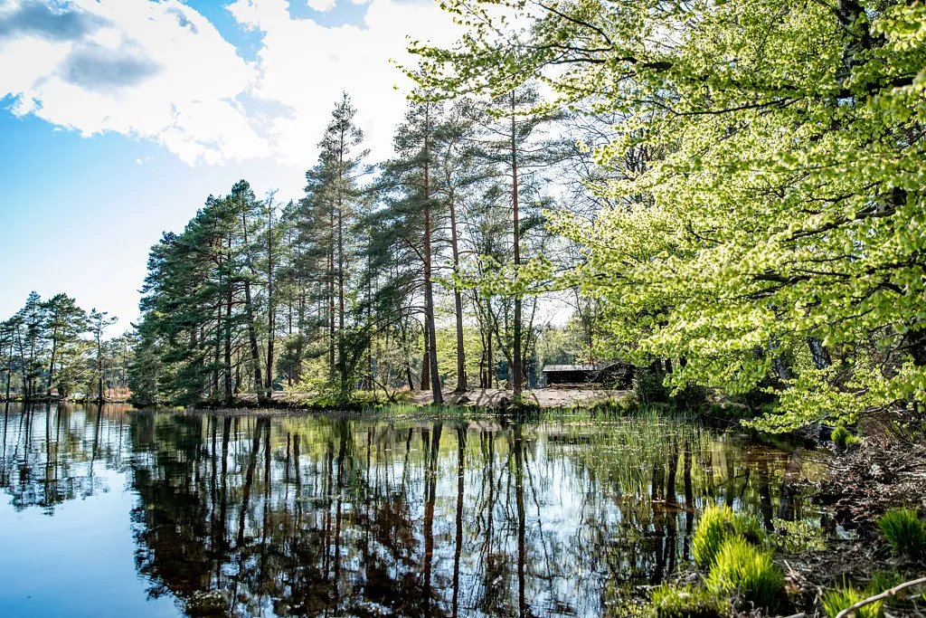 Wanderung um den Knobesholmssjön