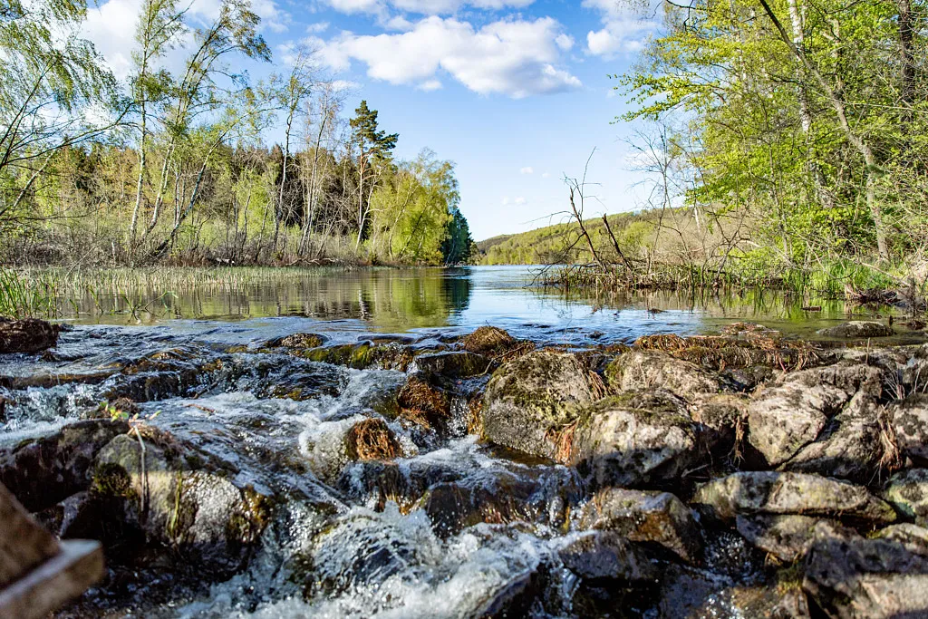 Angeln im Knobesholmer See