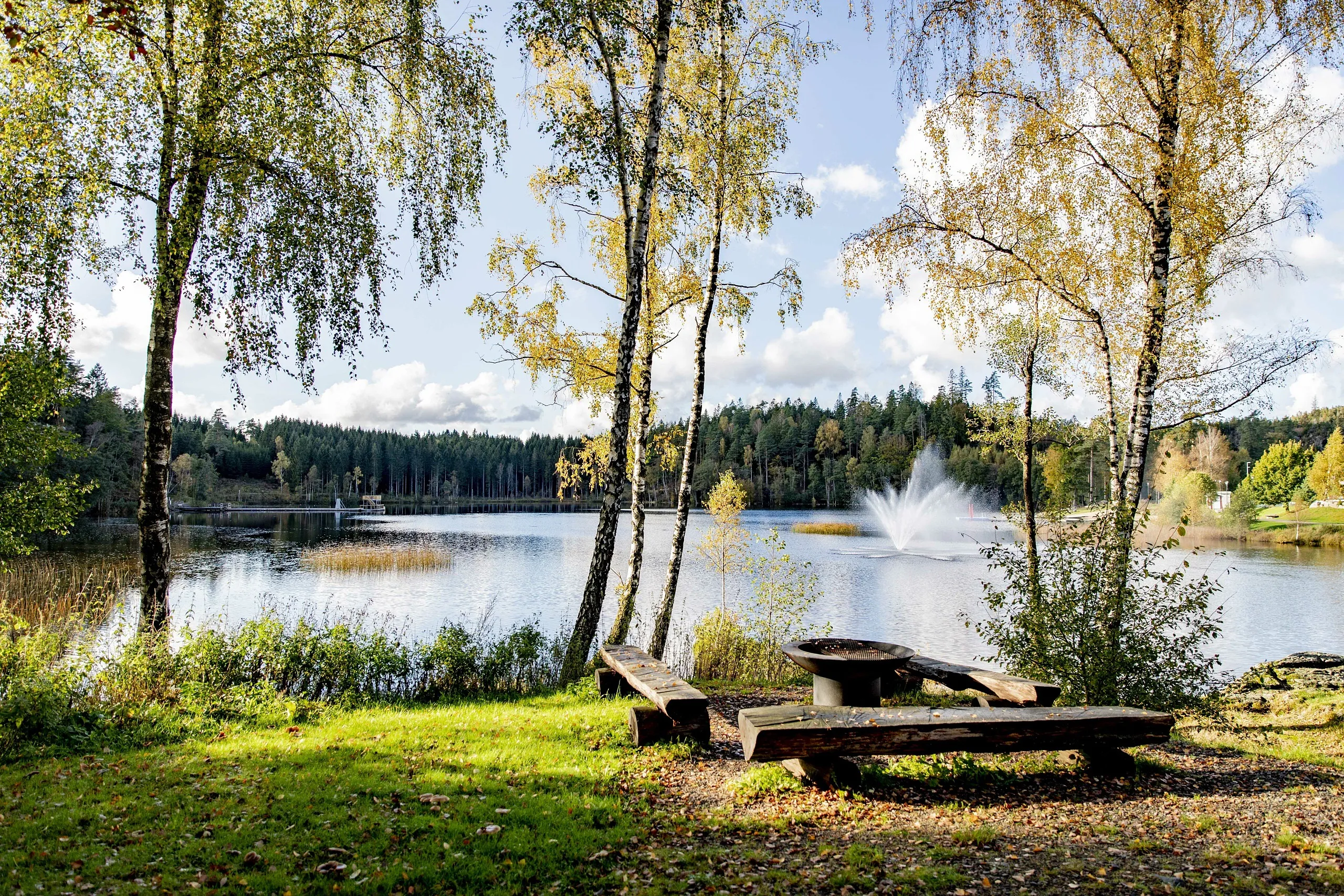 Grillplats vid en sjö i soligt väder