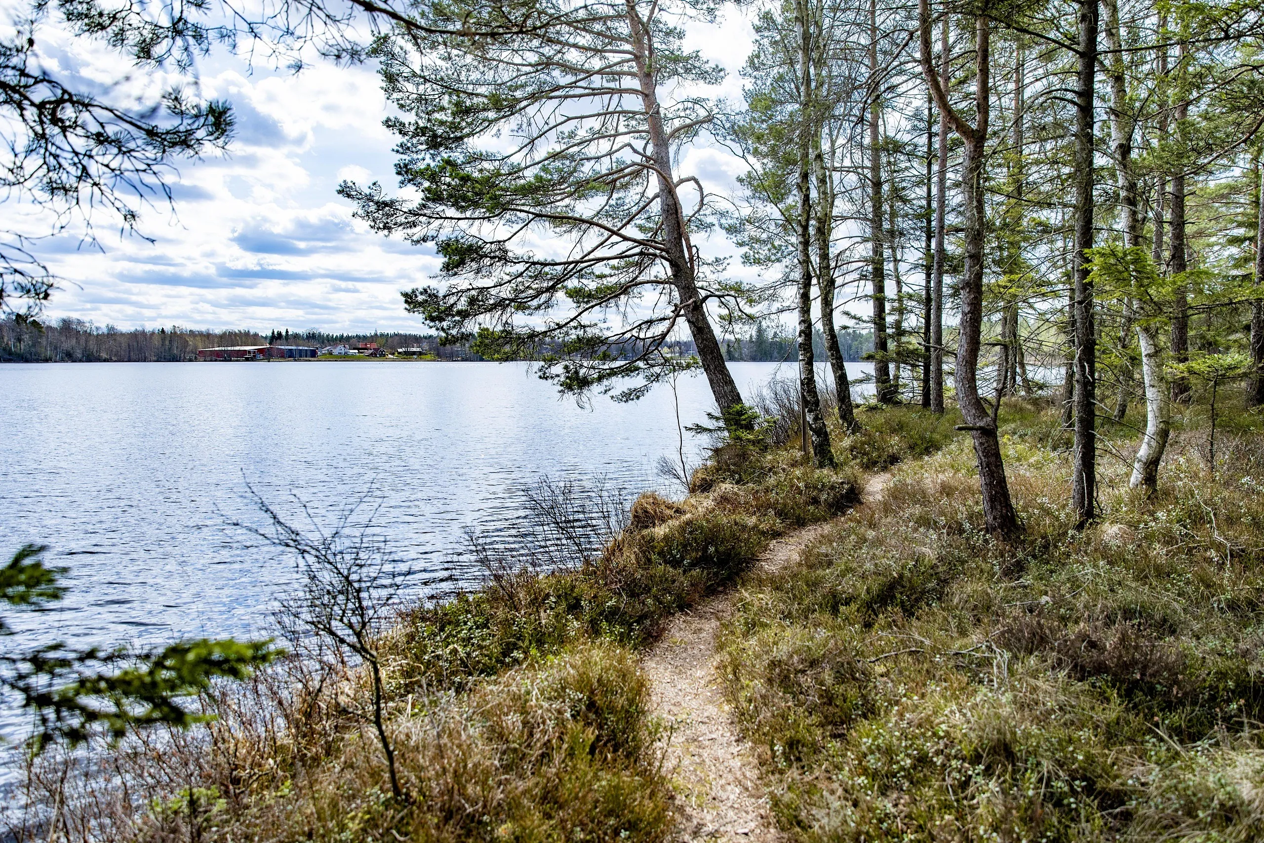Smal liten stig med en sjö på vänster sida