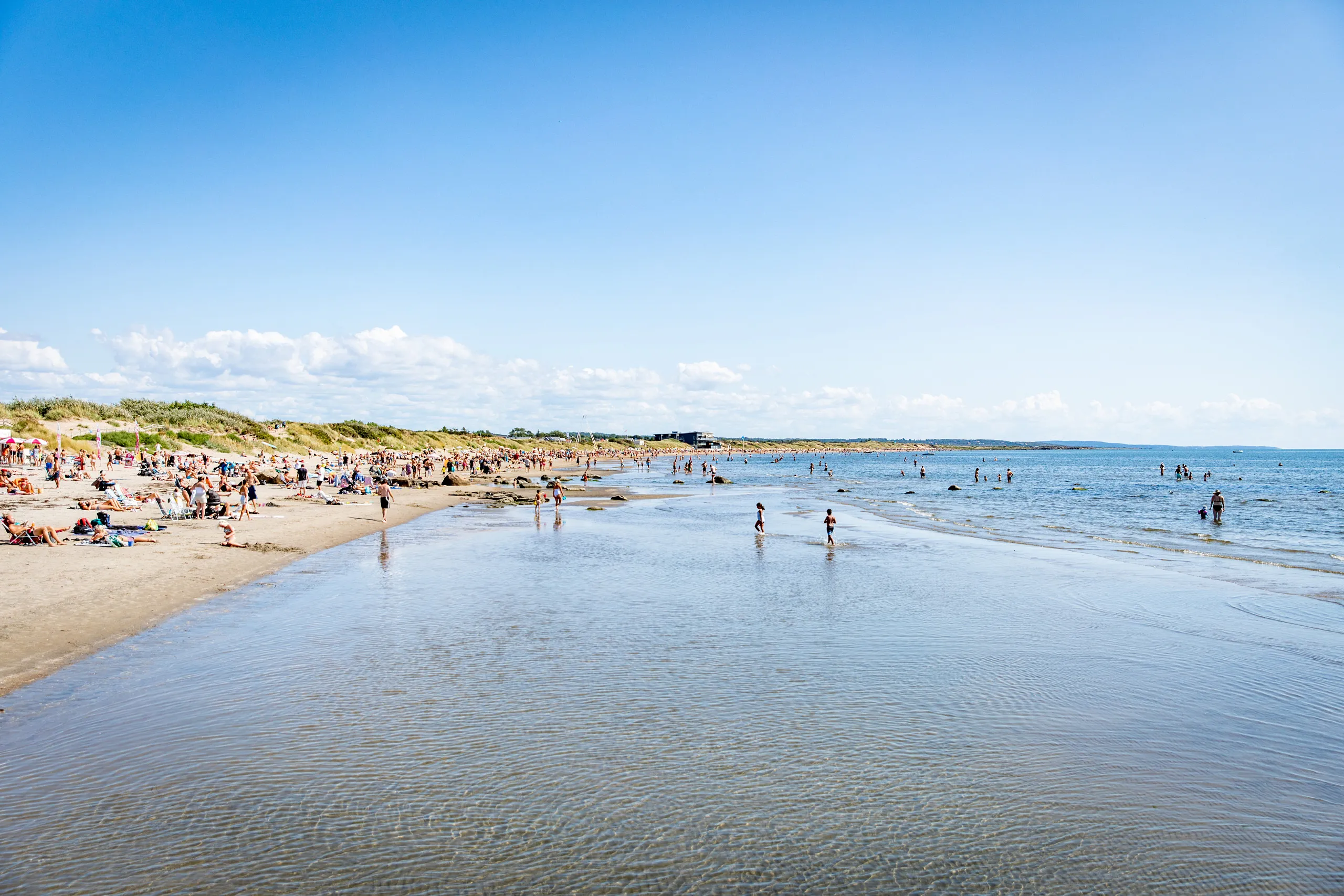 Badstrand med badande personer i havet