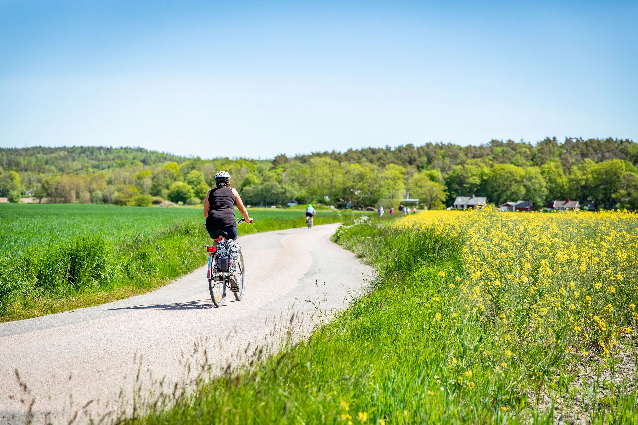 Kvinna på cykel på en cykelväg, grönska längs kanterna