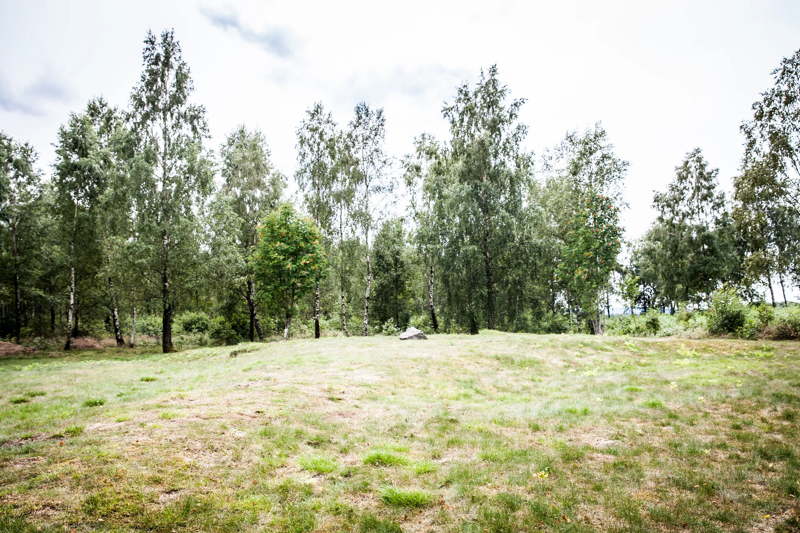 Treuddar i Falkenberg