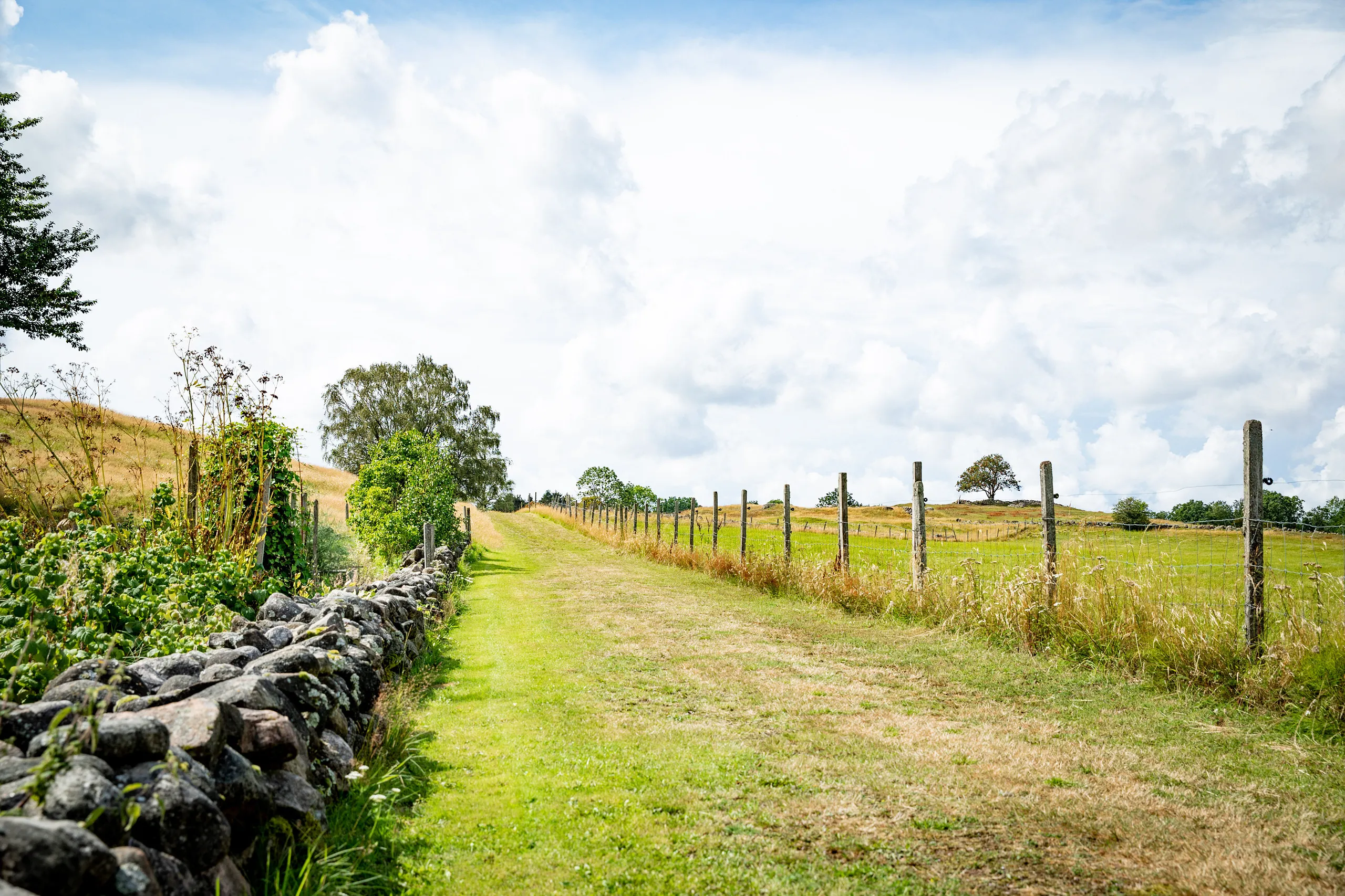 En gräsväg leder fram mellan en inhängnad hage och en stenmur