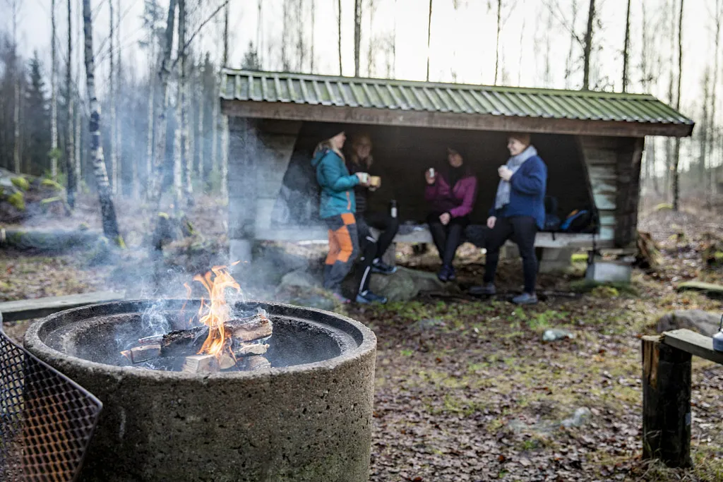 Windschutzanlagen entlang des Halland-Pfades