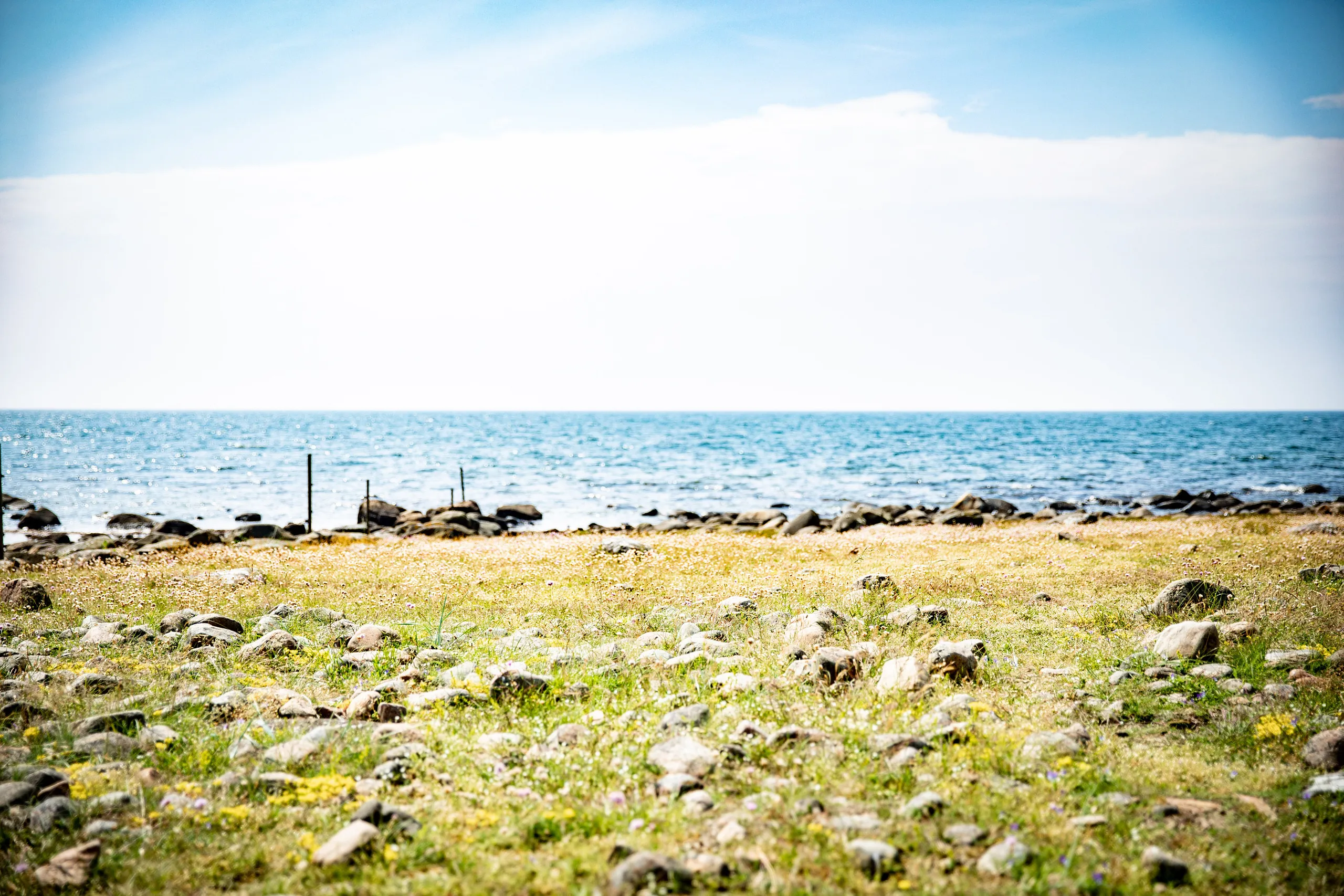 strandäng med havet bakom.
