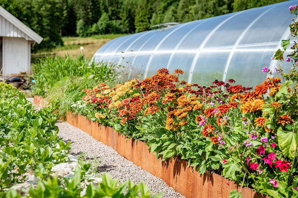 blommor framför växthus