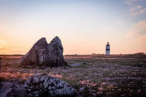 trift i solnedgång vid fyr