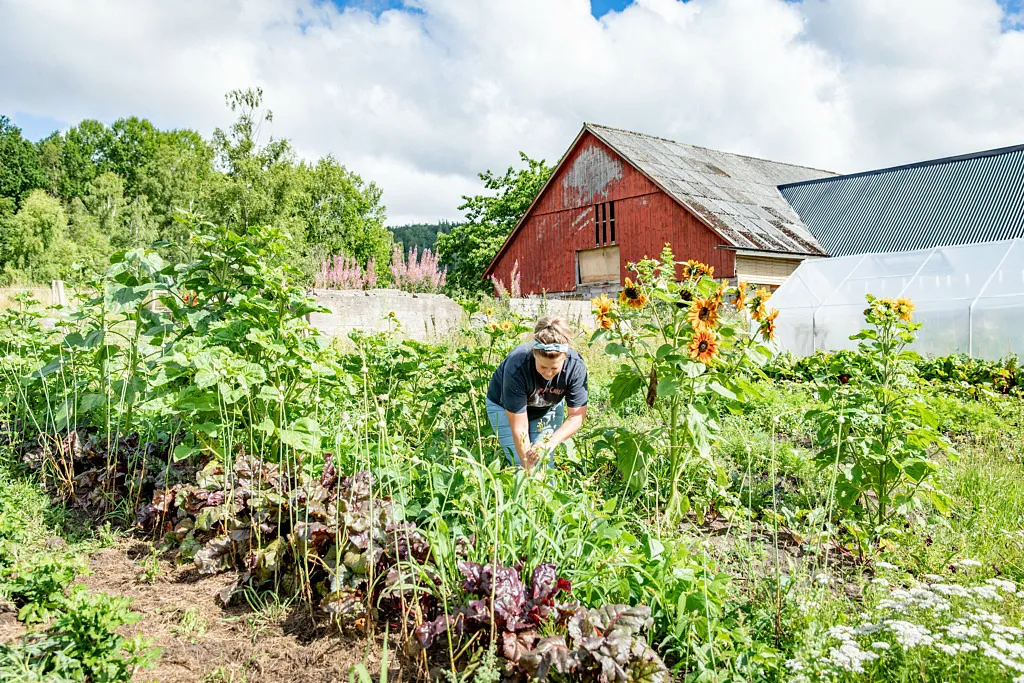Drömmen om ett självhushållande liv på landet