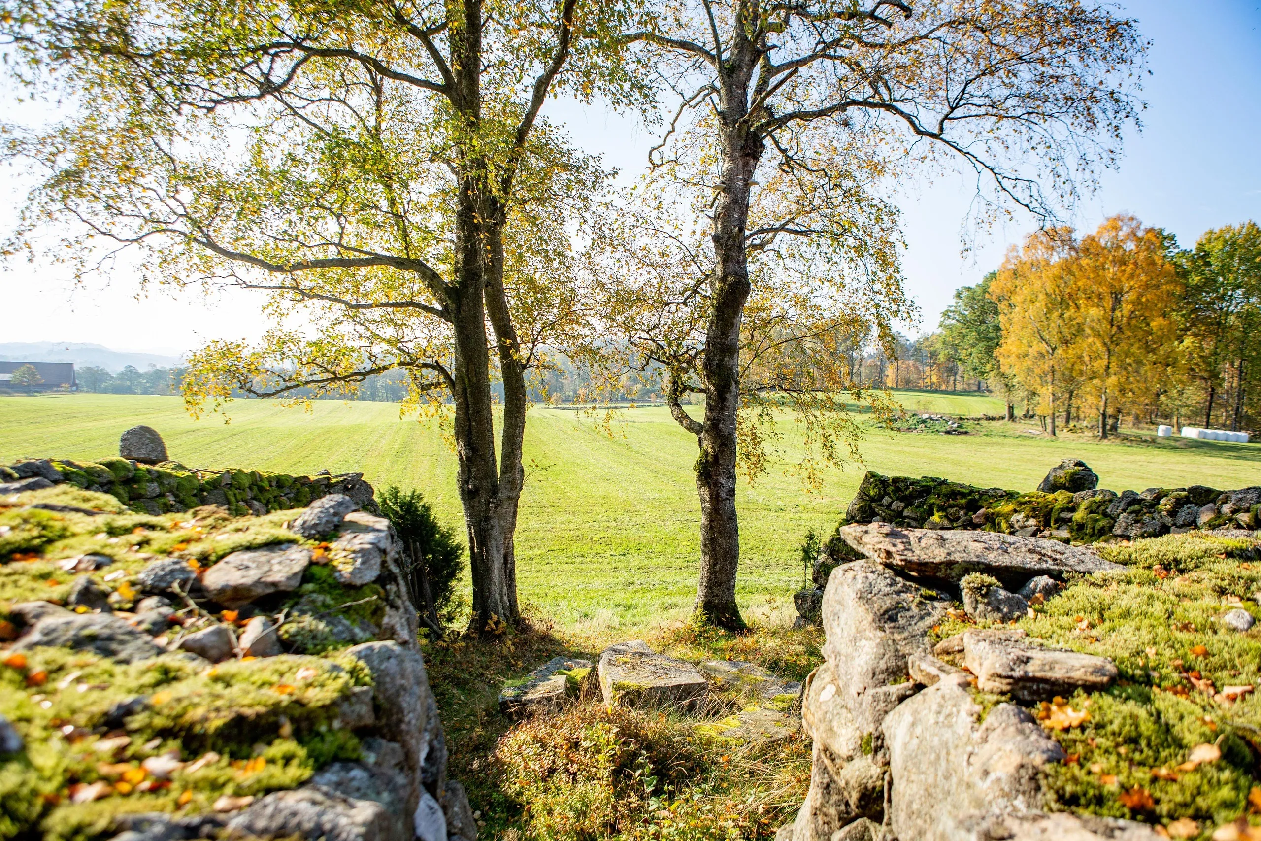 Vy mot åker från en stenformation.