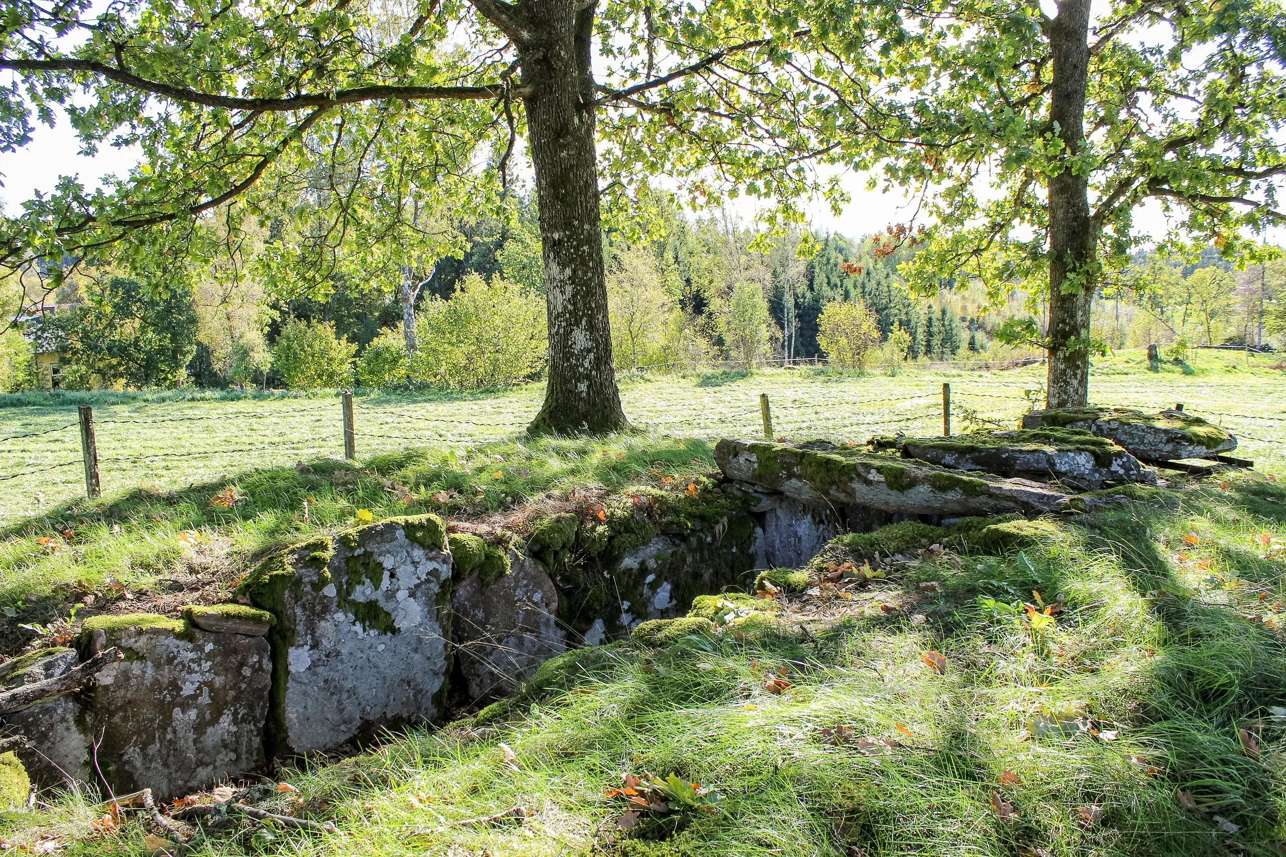fornlämning i naturen.