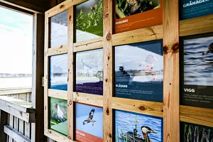 Skylt med information om fåglar