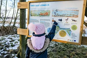 barn som pekar på skylt om fåglar