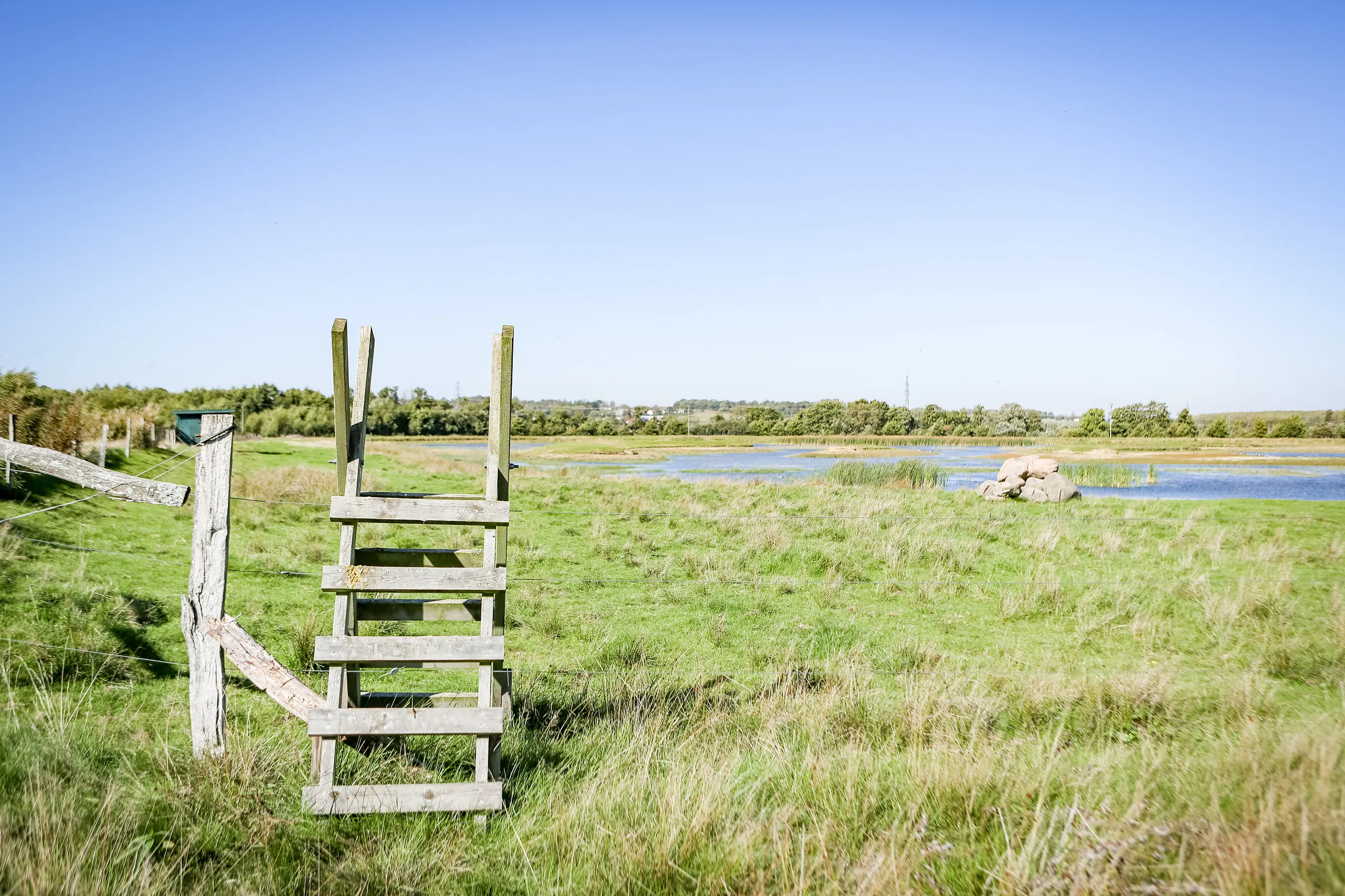stege över stängsel vid våtmark