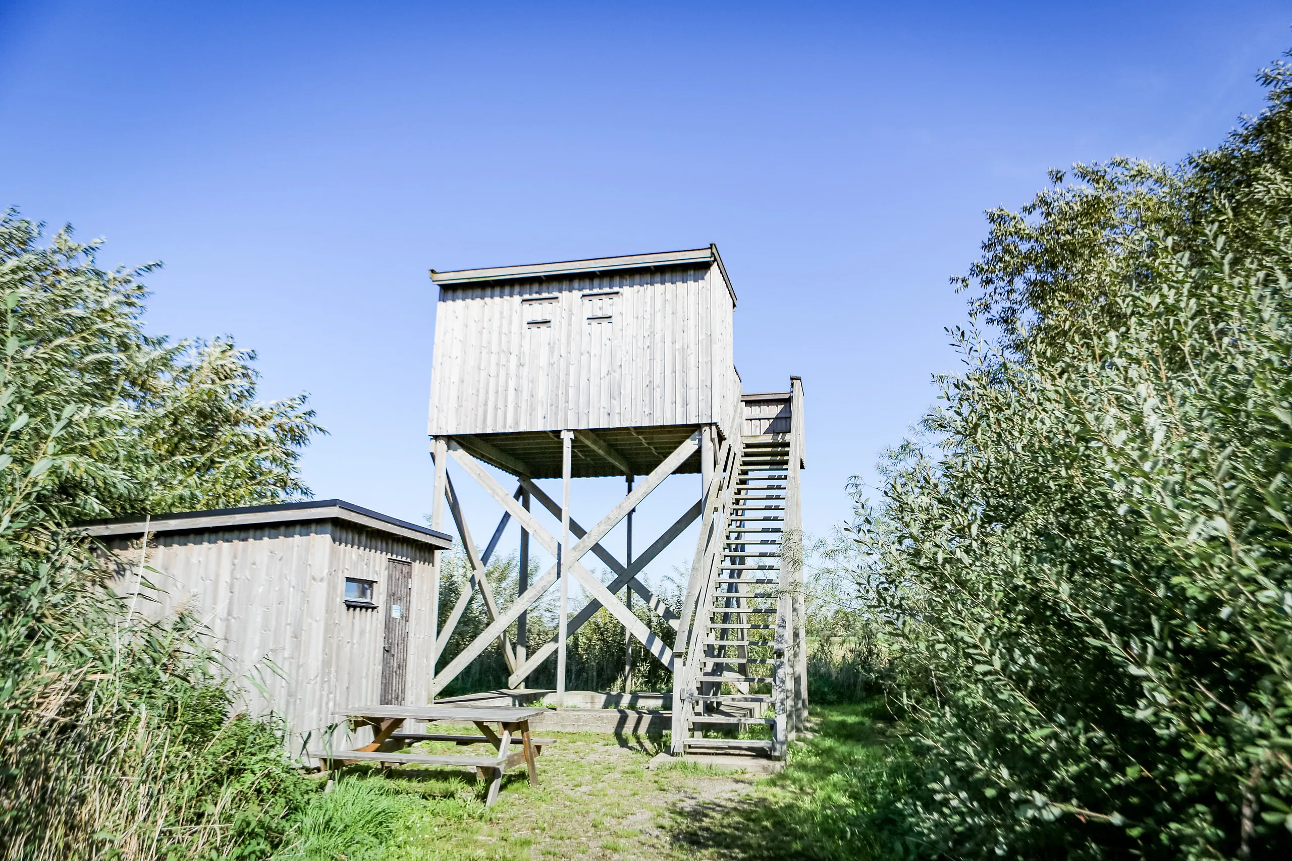 Utsiktstorn i trä med trappa