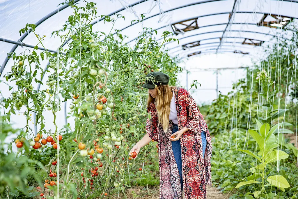 kvinna i tomatodling.
