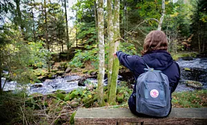 person sitter vid bäck i skog och pekar