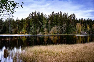 spegelblandk sjö och skog i höstfärger