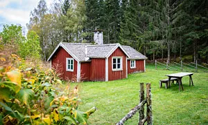röd stuga med vita knutar vid skog