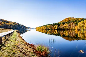väg vid spegelbland sjö vid höstig skog