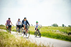 familj som cyklar vid fält