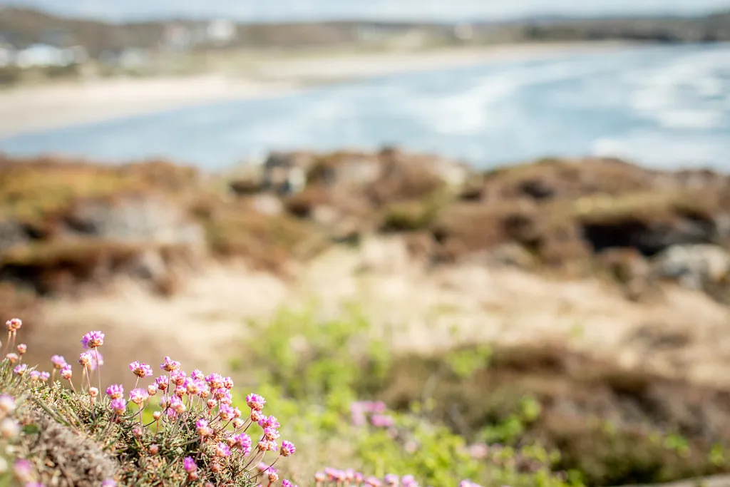 På utflykt med Veera - Ugglarp