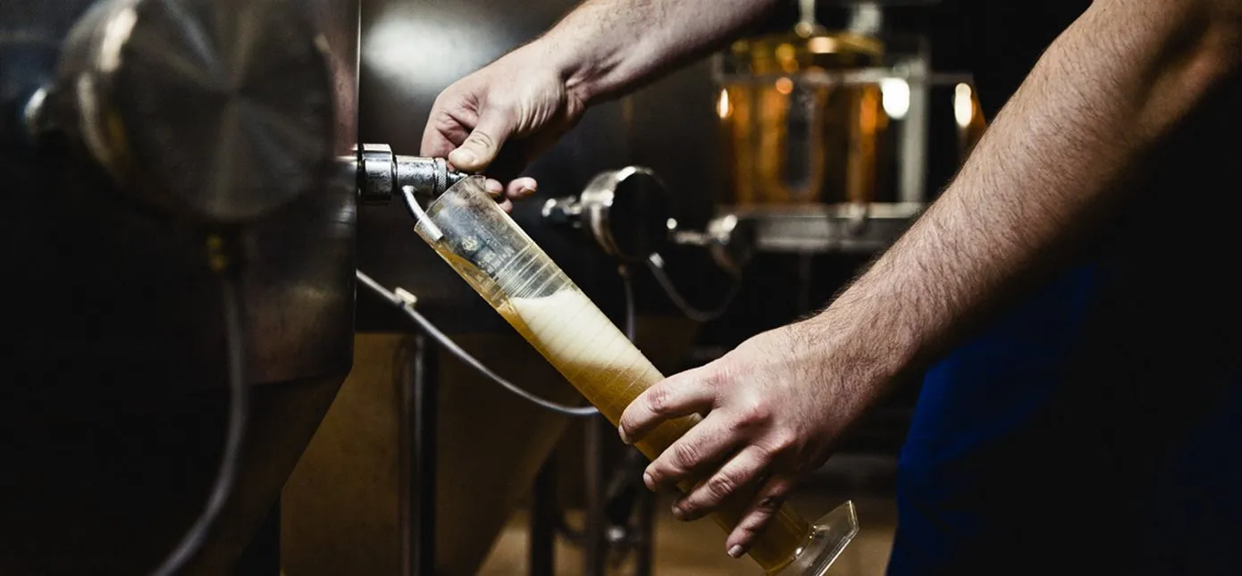 öl tappas up i provglas