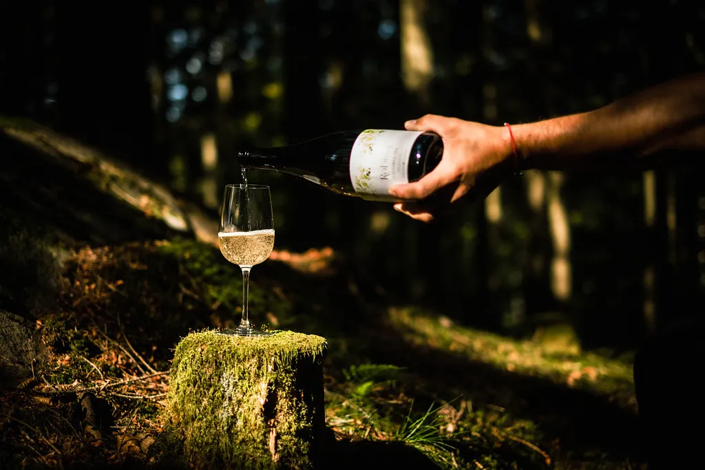 Källsjö bryggeri &amp; Smaksmedja (Källsjö Brewery and Taste Smithy)