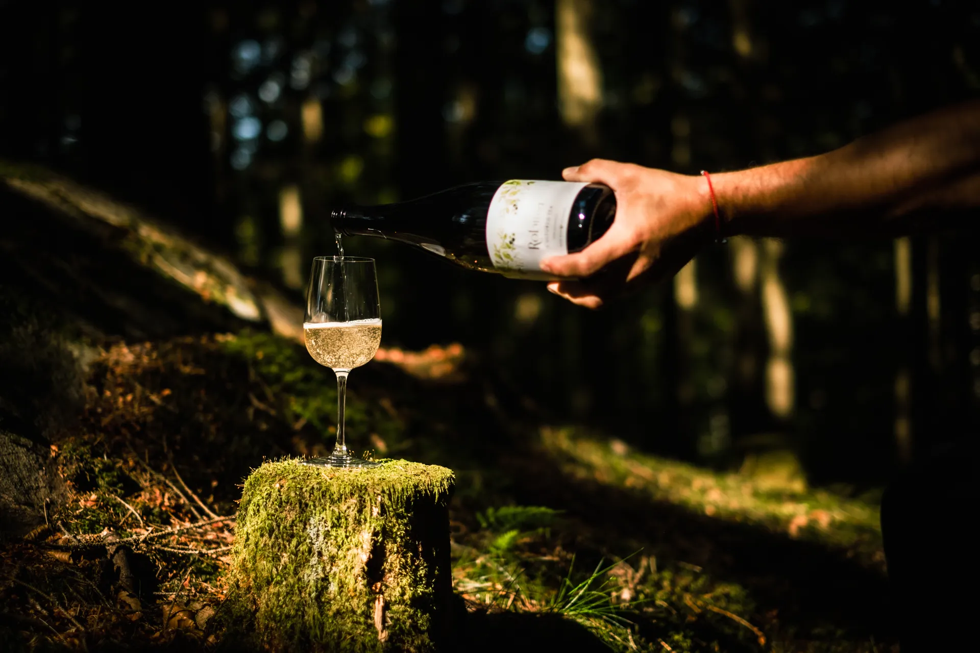 flaska häller upp dryck i vinglas på stubbe i skog