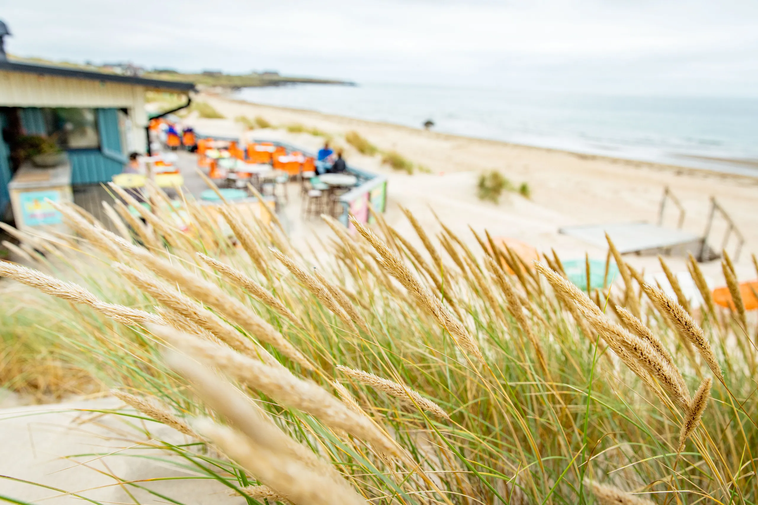 utsikt från sandklitter över strand