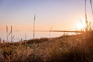 solnedgång vid strand