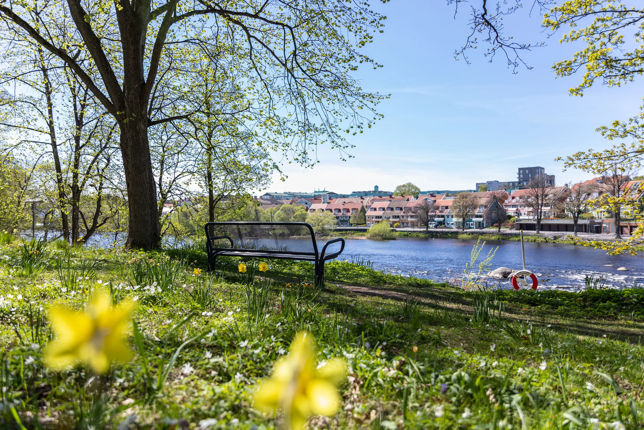 Bänk Vallarna ätran vår