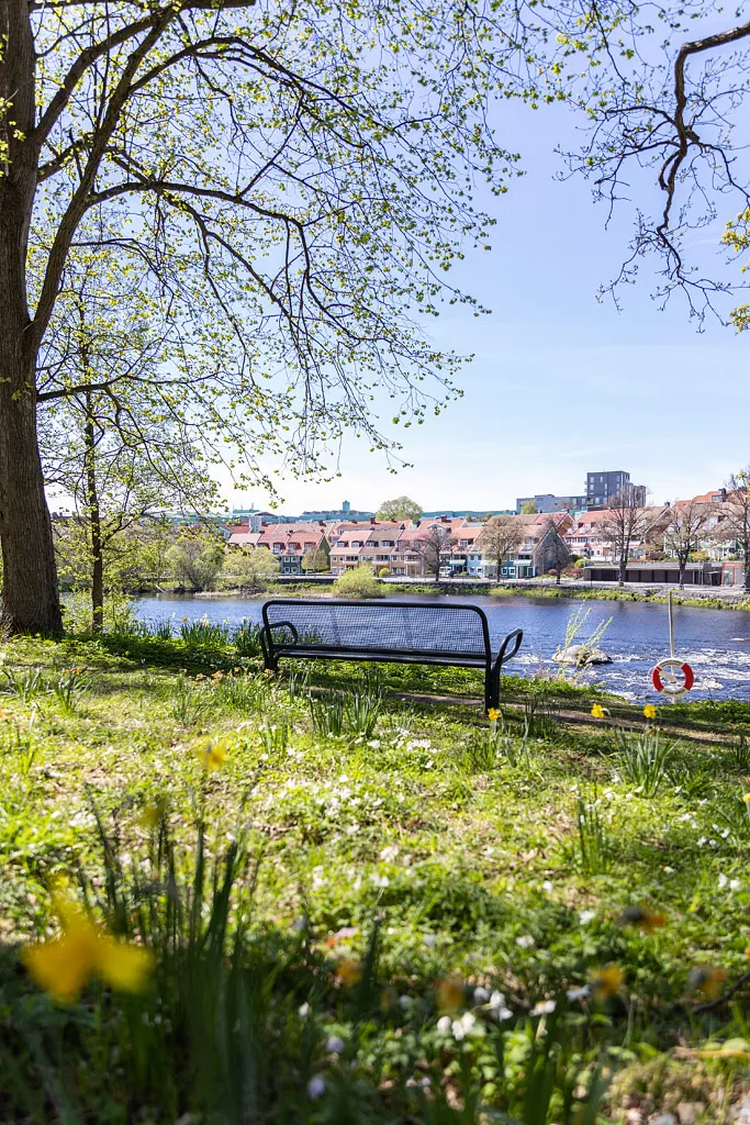 Bänk vallarna ätran vår