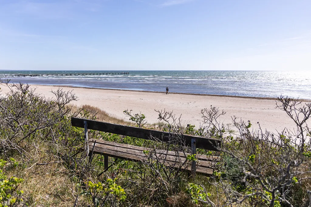 Bänk Skrea Strand klitter vår