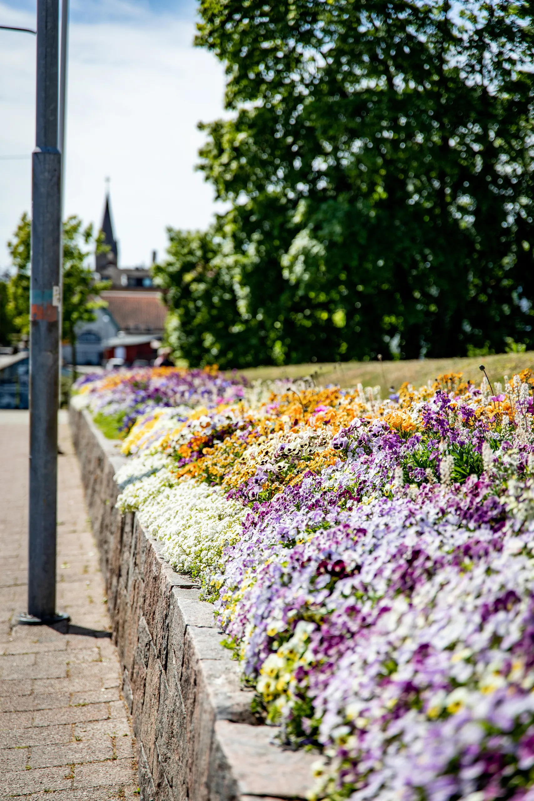blomsterplantering