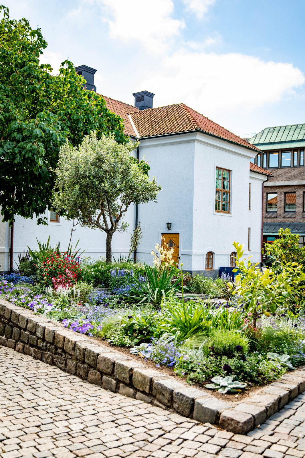 blommor och träd på kullen