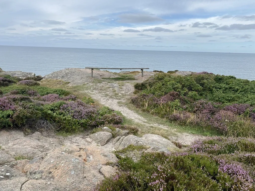 En bänk på en klippa med utsikt mot havet.