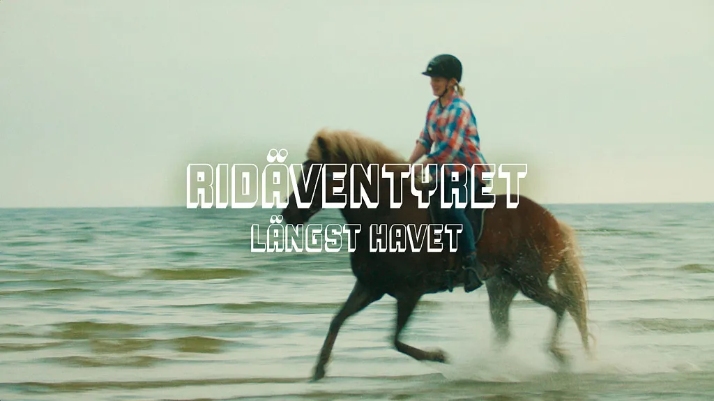 smakbara upplevelser