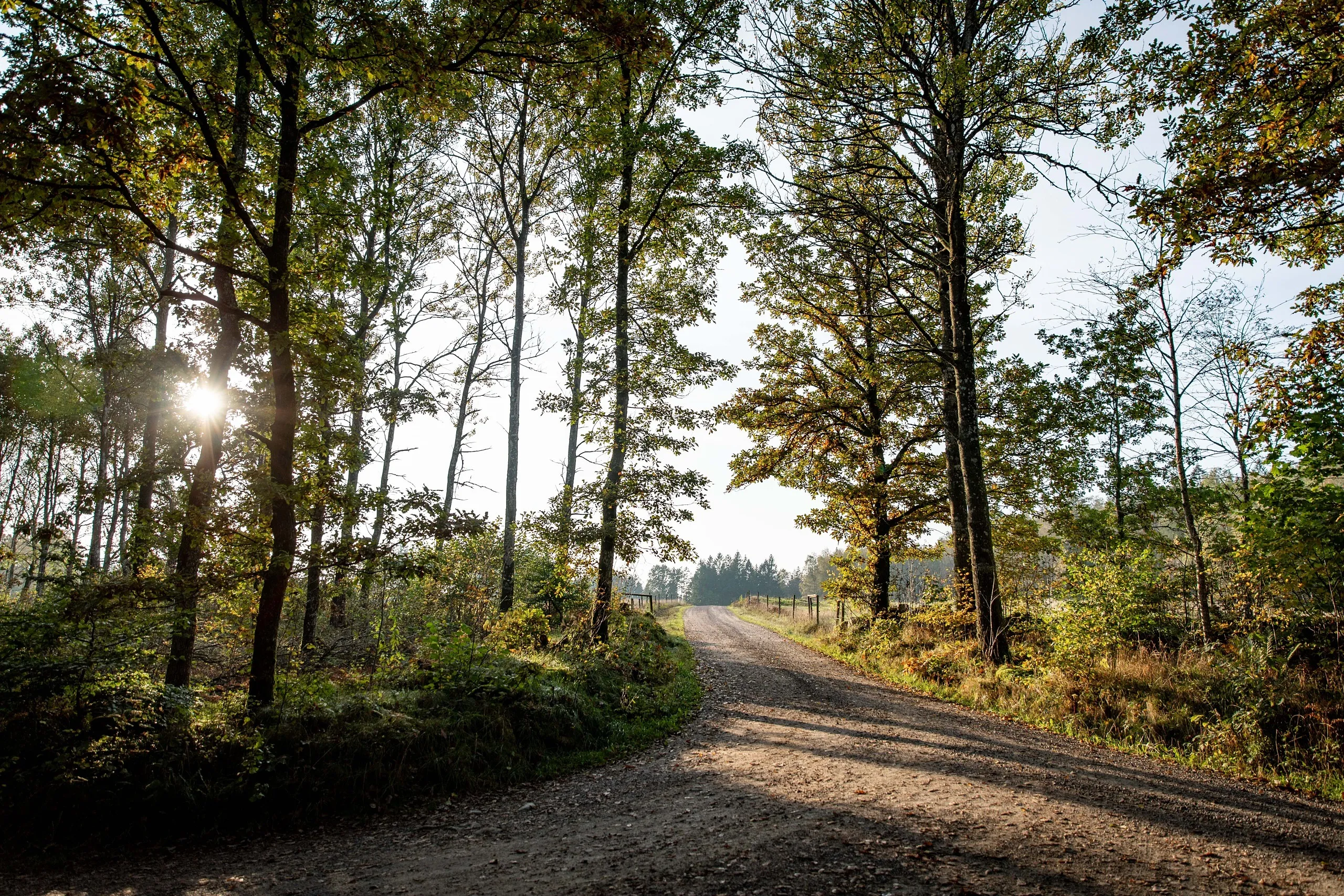 hallandsleden hakestad