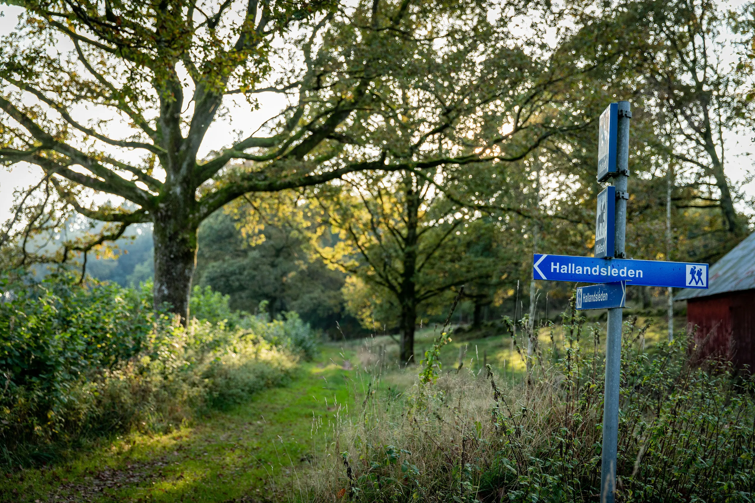 hallandsleden hakestad